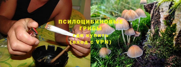 гидропоника Арсеньев