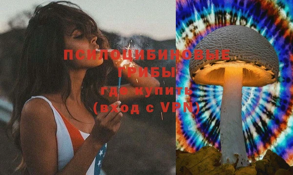 гидра Аркадак