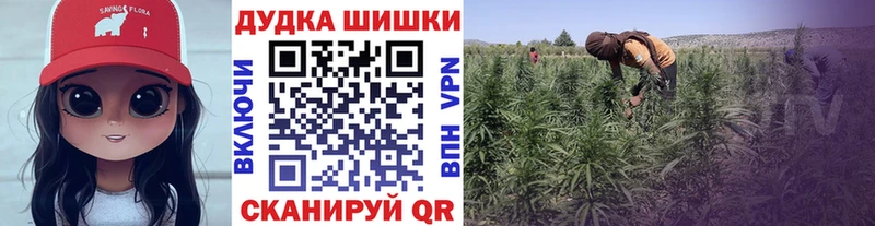Бошки марихуана THC 21% Ивдель