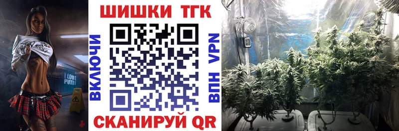 где продают Ивдель Канабис SATIVA & INDICA